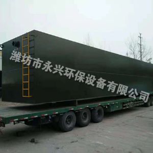 屠宰廠(chǎng)污水處理設備